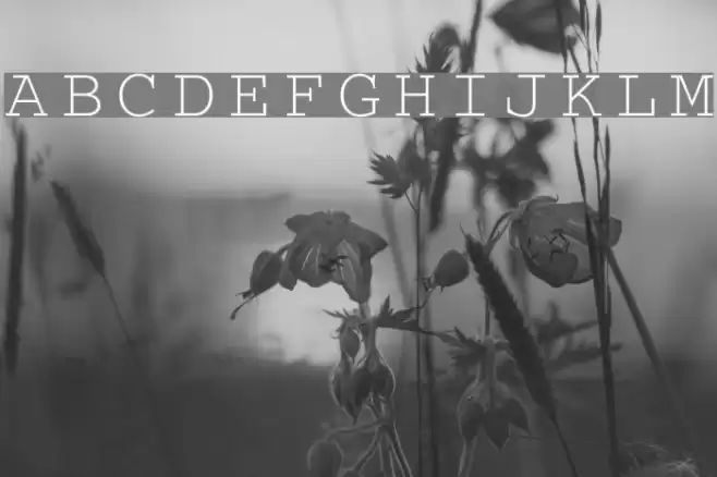 CrrCTT Font examples