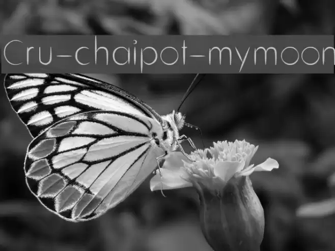 Cru-chaipot-mymoon Font examples