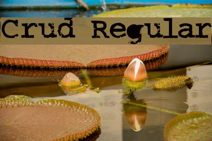 Crud Regular Font examples
