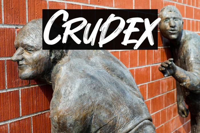 Crudex Example 2