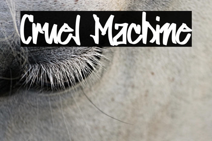 Cruel Machine Example 3