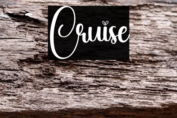 Cruise Example 1