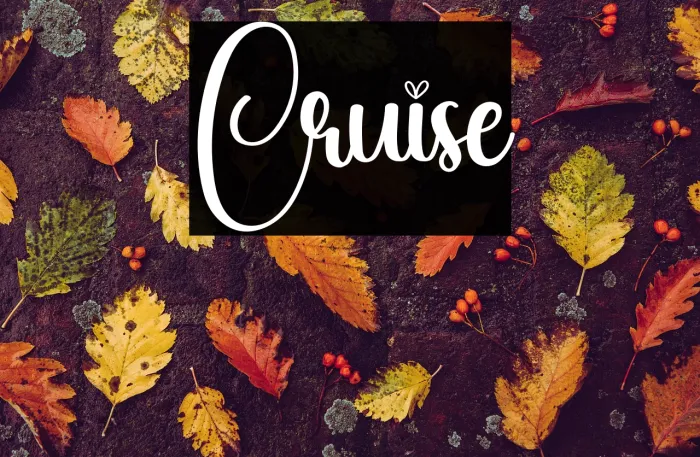 Cruise Example 2