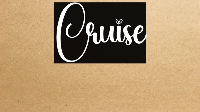 Cruise Example 3