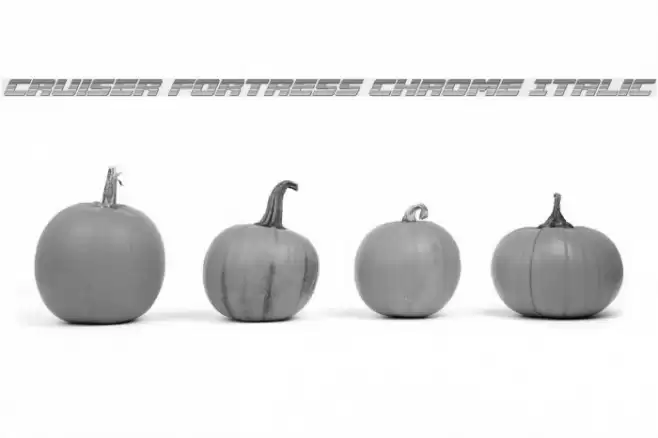 Cruiser Fortress Chrome Italic Font examples