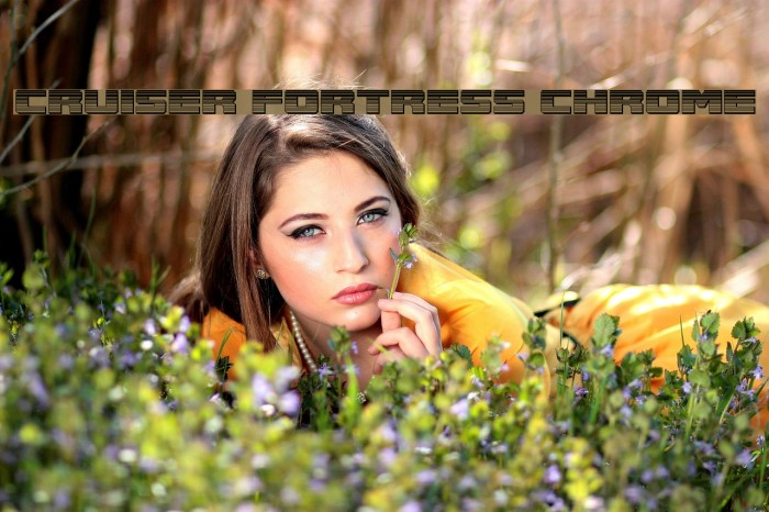 Cruiser Fortress Chrome Example 2