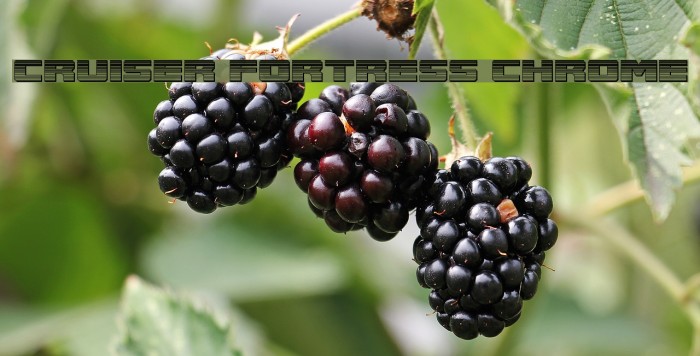 Cruiser Fortress Chrome Example 3