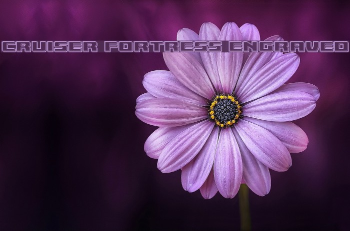 Cruiser Fortress Engraved Font examples