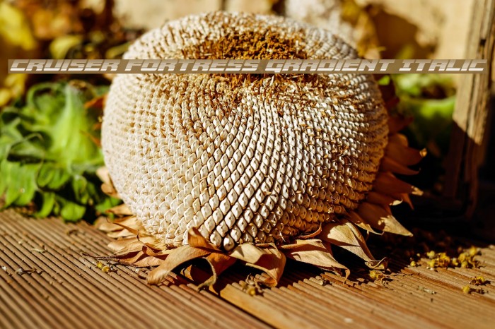 Cruiser Fortress Gradient Italic Example 1