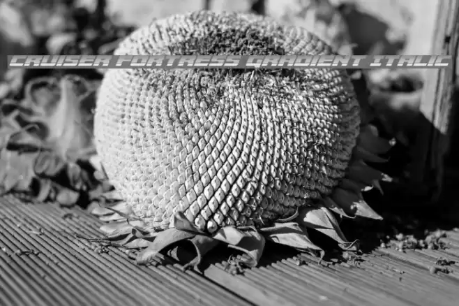 Cruiser Fortress Gradient Italic Font examples