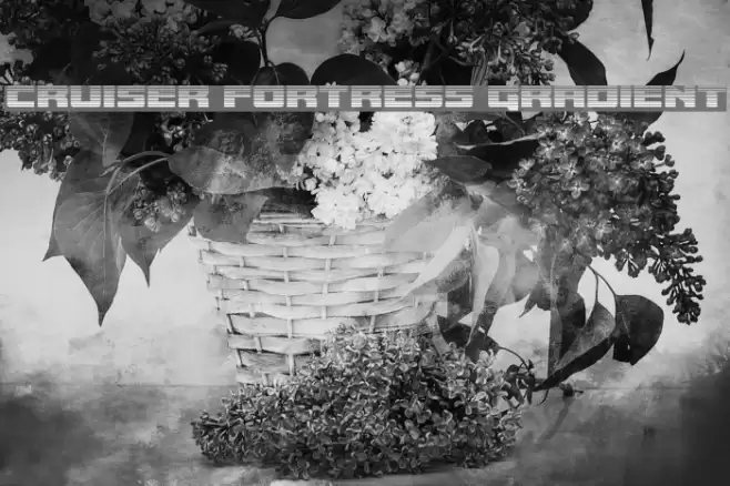 Cruiser Fortress Gradient フォント examples