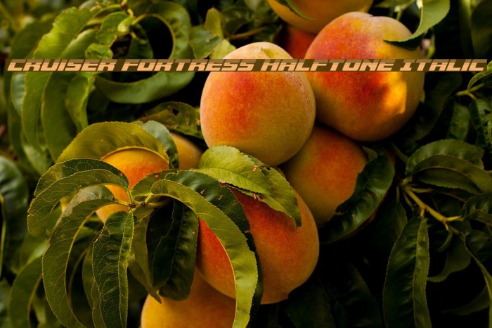 Cruiser Fortress Halftone Italic Example 3