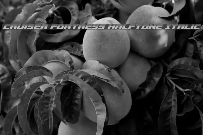 Cruiser Fortress Halftone Italic Font examples