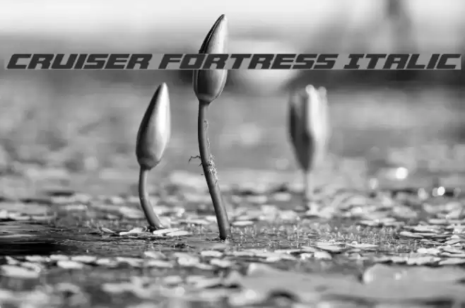 Cruiser Fortress Italic Font examples