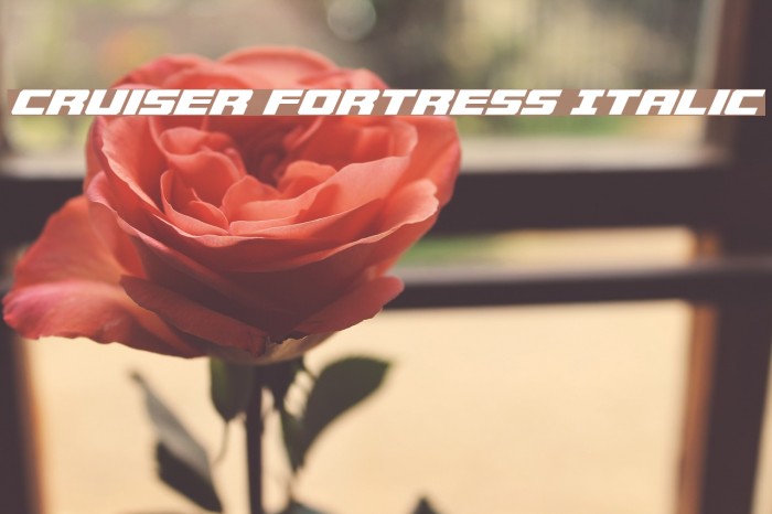 Cruiser Fortress Italic Font examples