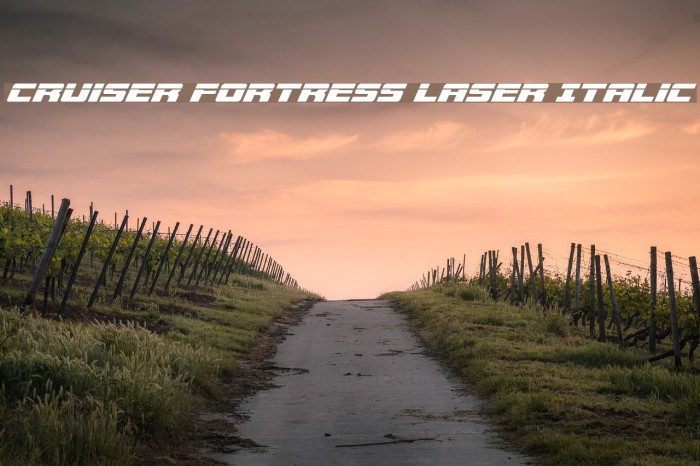 Cruiser Fortress Laser Italic Font examples