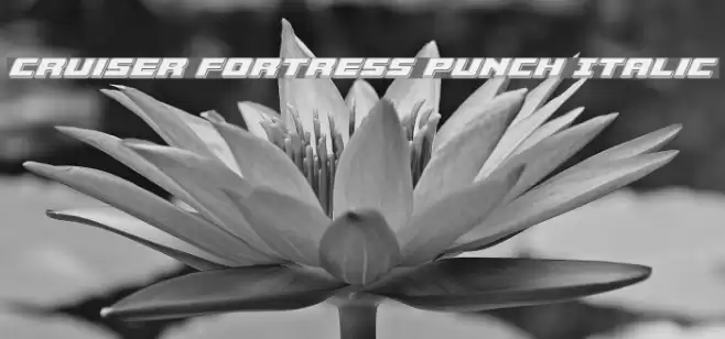 Cruiser Fortress Punch Italic Font examples