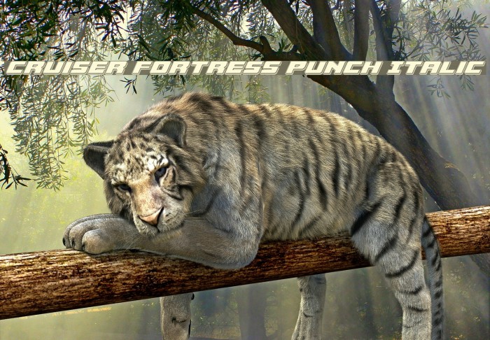 Cruiser Fortress Punch Italic Example 3