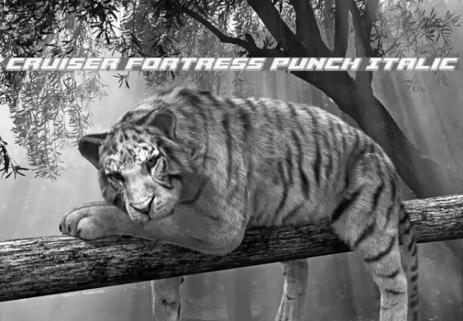 Cruiser Fortress Punch Italic Font examples