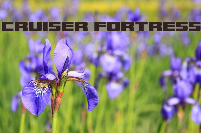 Cruiser Fortress Font examples