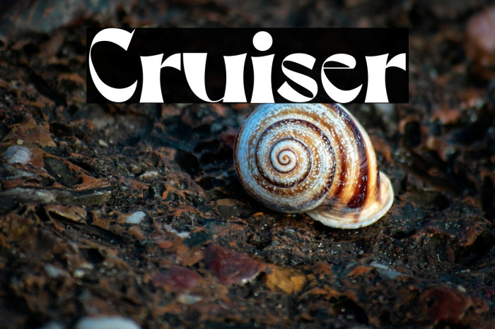 Cruiser Example 2