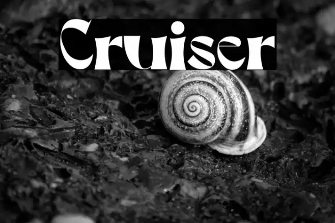 Cruiser Font examples