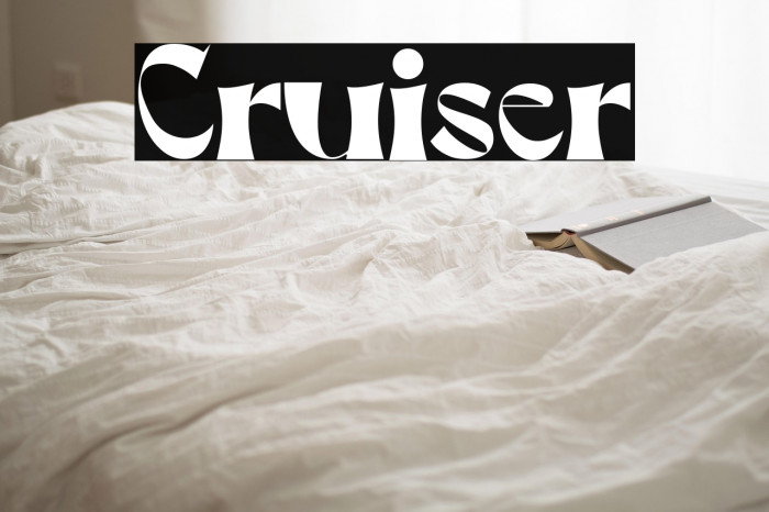 Cruiser Example 3