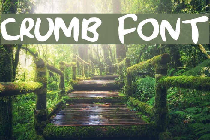 Crumb Font examples