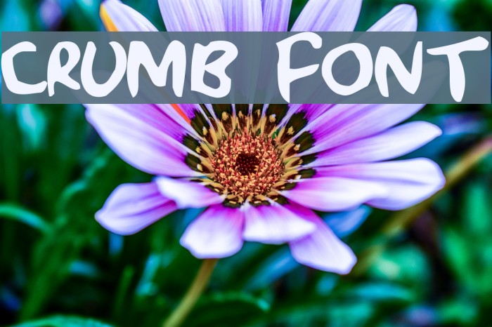 Crumb Font examples