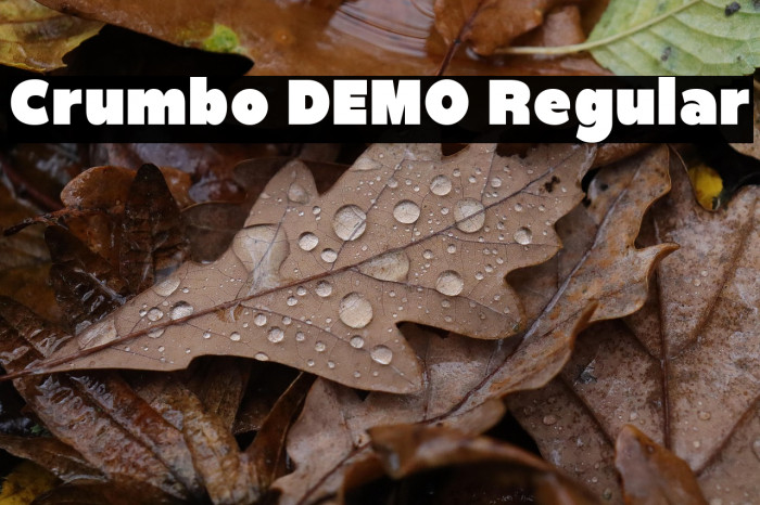 Crumbo DEMO Regular Fuentes examples