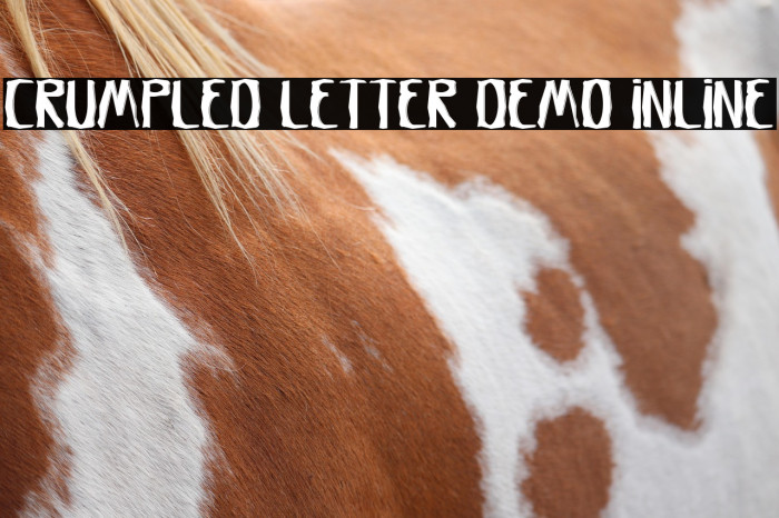 Crumpled Letter Demo Inline Example 2