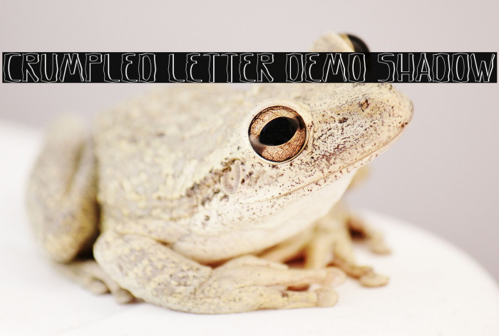 Crumpled Letter Demo Shadow Example 1