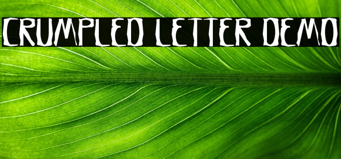 Crumpled Letter Demo Example 2