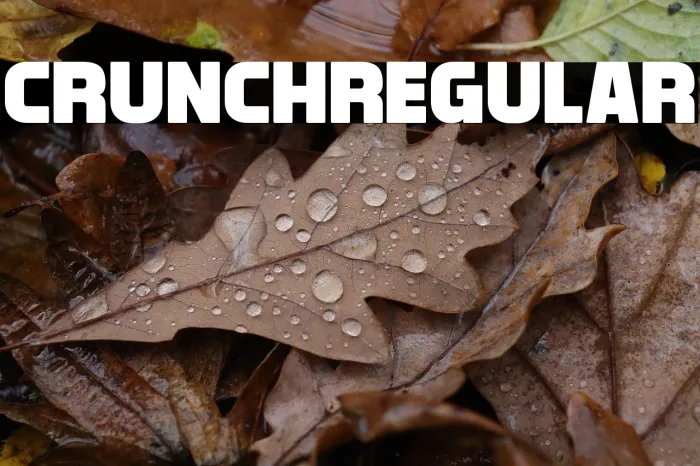 Crunch Regular Example 1