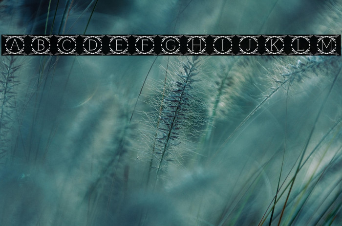 Cruncho Monogram Example 1