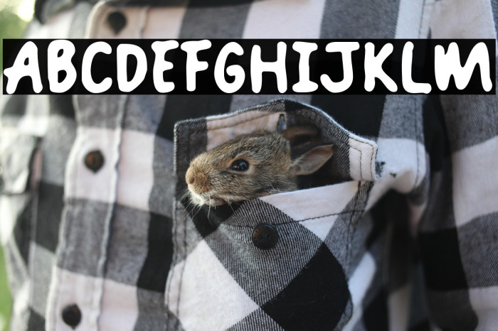 Crunchy Crab Example 2