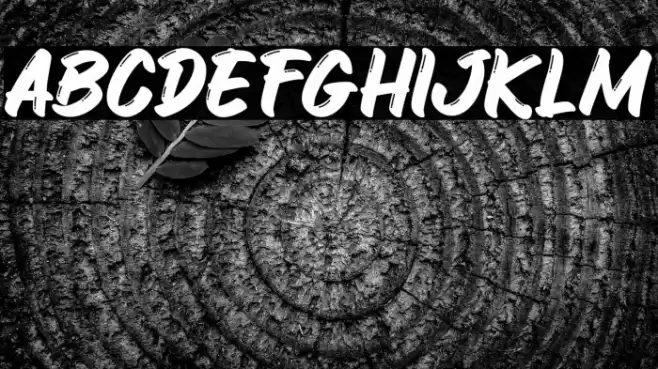 Crunchy Croissant Rfl Font examples