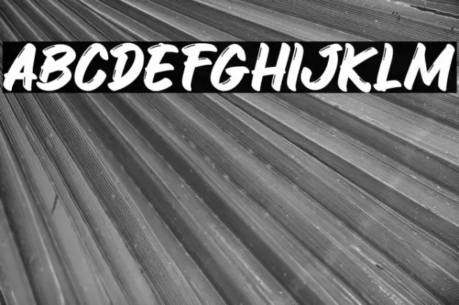 Crunchy Croissant Rfl Font examples