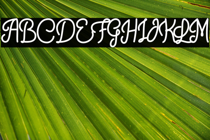 Crunchy Pasta Example 1