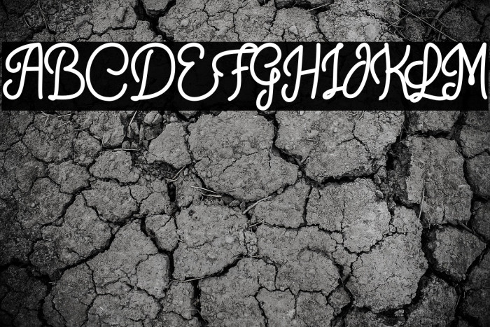 Crunchy Pasta Example 2