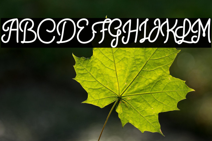 Crunchy Pasta Example 3