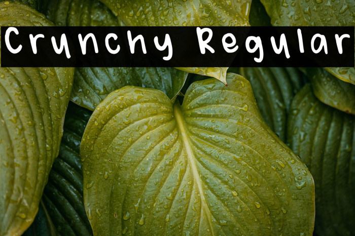 Crunchy Regular Example 2