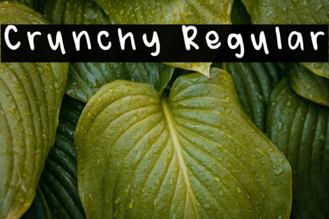 Crunchy Regular Example 2
