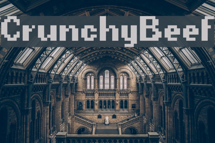 CrunchyBeef Example 2