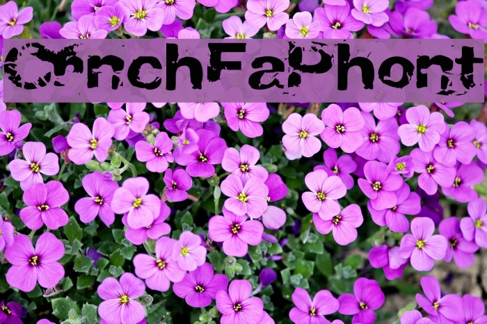 CrunchyFaxPhont Font examples