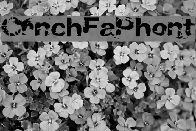 CrunchyFaxPhont フォント examples