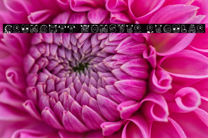 Crunchyy Monster Regular Example 1