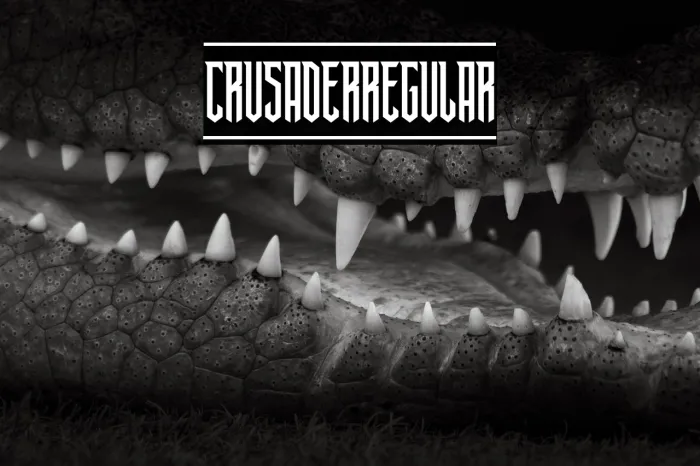 Crusader Regular Example 1