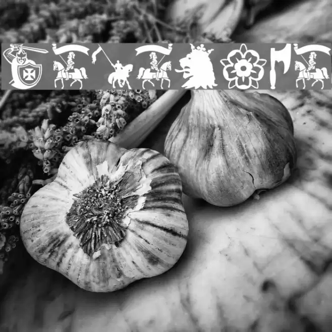 Crusader Font examples