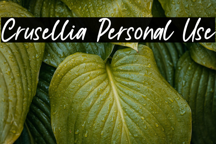 Crusellia Personal Use Example 3